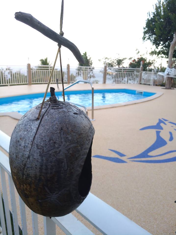 Réalisation de plage de piscine 7